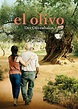 EL OLIVO – Der Olivenbaum. Ein Film von Icíar Bollaín | Synopsis