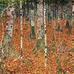 Birch woods in autumn. - Gustav Klimt as art print or hand painted oil.