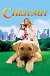 Watch Chestnut: Hero of Central Park Online Free on 123series