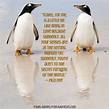 28+ Inspirational Quotes With Penguins - Richi Quote