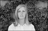 Linda McCartney (Линда Маккартни): Биография певицы - Salve Music