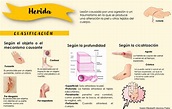Infografía sobre los distintos tipos de heridas - Herida Lesión causada ...