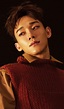 Kim Jong Dae | Wiki | •Xiumin Amino• Amino