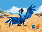 blu_wallpaper_full_03 - BLU (from the computer-animated film, Rio ...