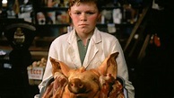 The Butcher Boy (1998) - AZ Movies