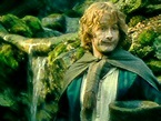 Pippin - Lord of the Rings Wallpaper (3067360) - Fanpop