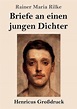 Briefe an einen jungen Dichter (Großdruck), Rainer Maria Rilke ...