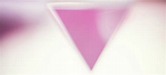 The Pink Triangle: From Nazi Label to Symbol of Gay Pride | HISTORY