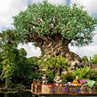 Disney's Animal Kingdom Theme Park (Orlando) - All You Need to Know ...