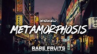 INTERWORLD - METAMORPHOSIS (Lyrics) - YouTube