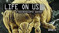 Amazon.de: Life on Us: A Microscopic Safari [OV] ansehen | Prime Video