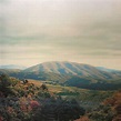 Mount wittenberg orca (rsd 2023 expanded edition) de Dirty Projectors ...