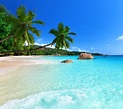 Tropical Beach wallpaper by ____S - Download on ZEDGE™ | 7000 ...