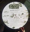 Swell Maps / Mayday Signals (2 x Vinyl LP) | Opaque Dynamo