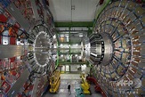 ヒッグス粒子の崩壊、LHC実験で初観測 発見から6年 写真1枚 国際ニュース：AFPBB News