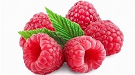Raspberries: Boost Your Harvest with These Tips 1