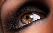 Close-up brown eyes macro eye wallpaper | 2560x1600 | 338233 | WallpaperUP