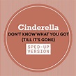 ‎Don't Know What You Got (Till It's Gone) [Sped Up] - Single - Album by ...
