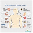 Yellow Fever - Pictures