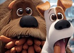 The Secret Life of Pets/Gallery | The Secret Life of Pets Wiki | Fandom ...