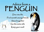 Advice from - A Penguin | Advice quotes, Wisdom quotes, True nature
