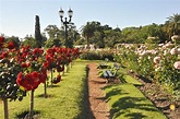 The Rose Garden (El Rosedal) in the Parks of Palermo in Buenos Aires ...