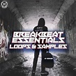 BREAKBEAT ESSENTIALS LOOPS & SAMPLES VOL.2 by Gosize [Dizzines Records ...
