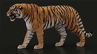 Buy Bengal Tiger (FUR) (ANIMATED) 3D Models Online | Massimo Righi