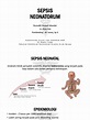 Sepsis Neonatorum | PDF