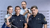 The Good Cop - TheTVDB.com