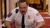 Paul Blart: Mall Cop 2 Review | The Movie Bit