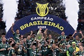 Brasileirão 2023: Palmeiras campeão e Santos rebaixado; saiba a tabela ...