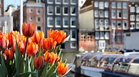 Schlagermosaik - «Tulpen aus Amsterdam» haben immer Saison - Radio SRF ...
