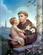 St Anthony of Padua | Santo antônio de pádua, Santo antônio, Dia de ...