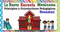 Resumen de la nueva escuela mexicana: Principios y orientaciones ...