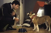 Hunde haben kurze Beine - Filmkritik - Film - TV SPIELFILM