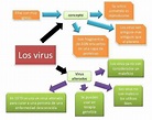 elabore un organizador gráfico comparativo sobre los tipos de ...