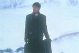 Fiebre helada (1995) Película - PLAY Cine