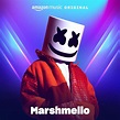 Marshmello, P!nk & Sting - Dreaming (VIP Mix) - EDM Lake Zippyshare