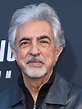 Joe Mantegna | Criminal Minds Wiki | Fandom