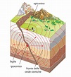 4. L’attività sismica
