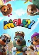 Où regarder la série Moley en streaming