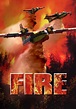 Watch Fire (2004) - Free Movies | Tubi