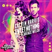 Calvin Harris - Sweet Nothing Feat Florence Welc (Aslei De Calais Remix ...