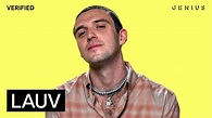 Lauv “All 4 Nothing (I'm So In Love)” Official Lyrics & Meaning ...