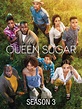 Queen Sugar: Season 3 Teaser - Rotten Tomatoes