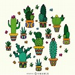 Dibujos de cactus y suculentas paso a paso | Cactus drawing, Cactus ...