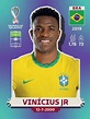 Com Vinicius Junior, Seleção é 'convocada' para Copa por álbum de ...