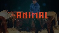 The Animal Within Final - YouTube