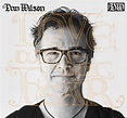 Love Without Fear by Dan Wilson (Album, Alt-Country): Reviews, Ratings ...